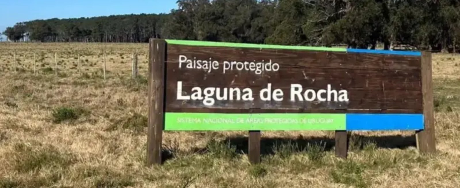 CURE - Licenciatura en Gestión Ambiental