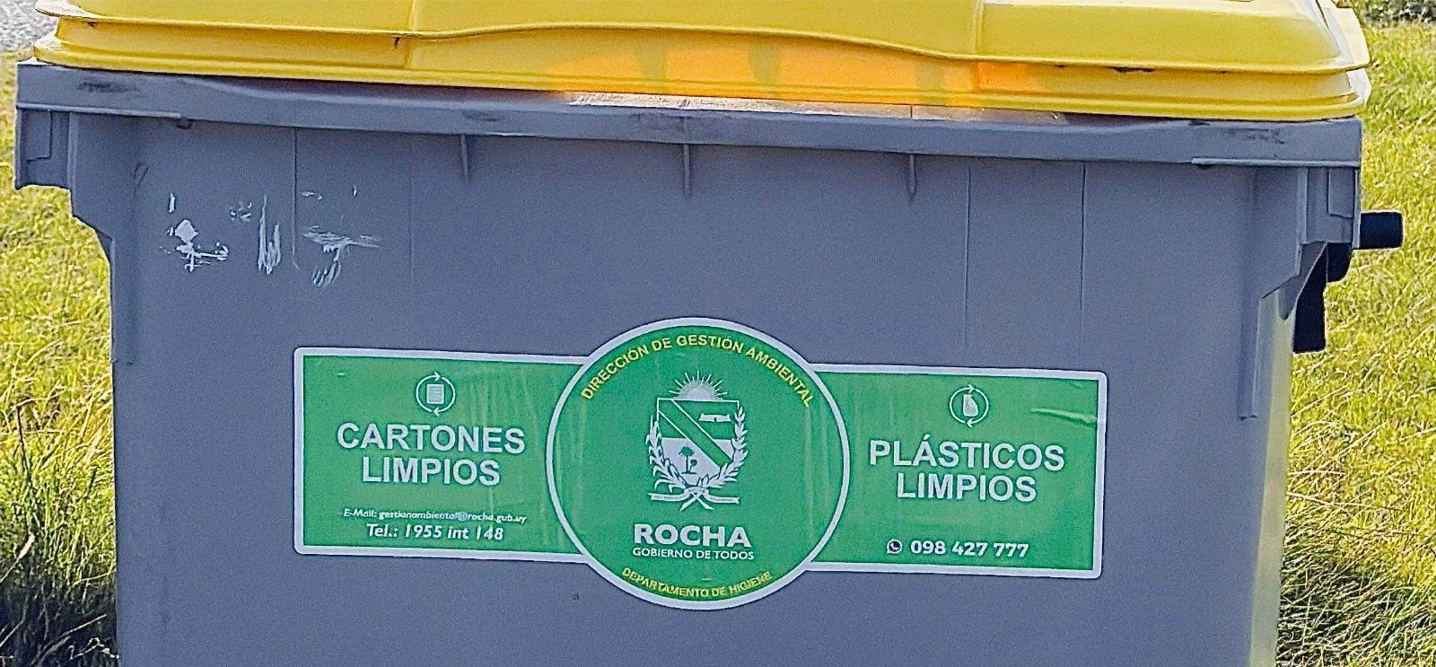 Reciclado de plásticos y cartones