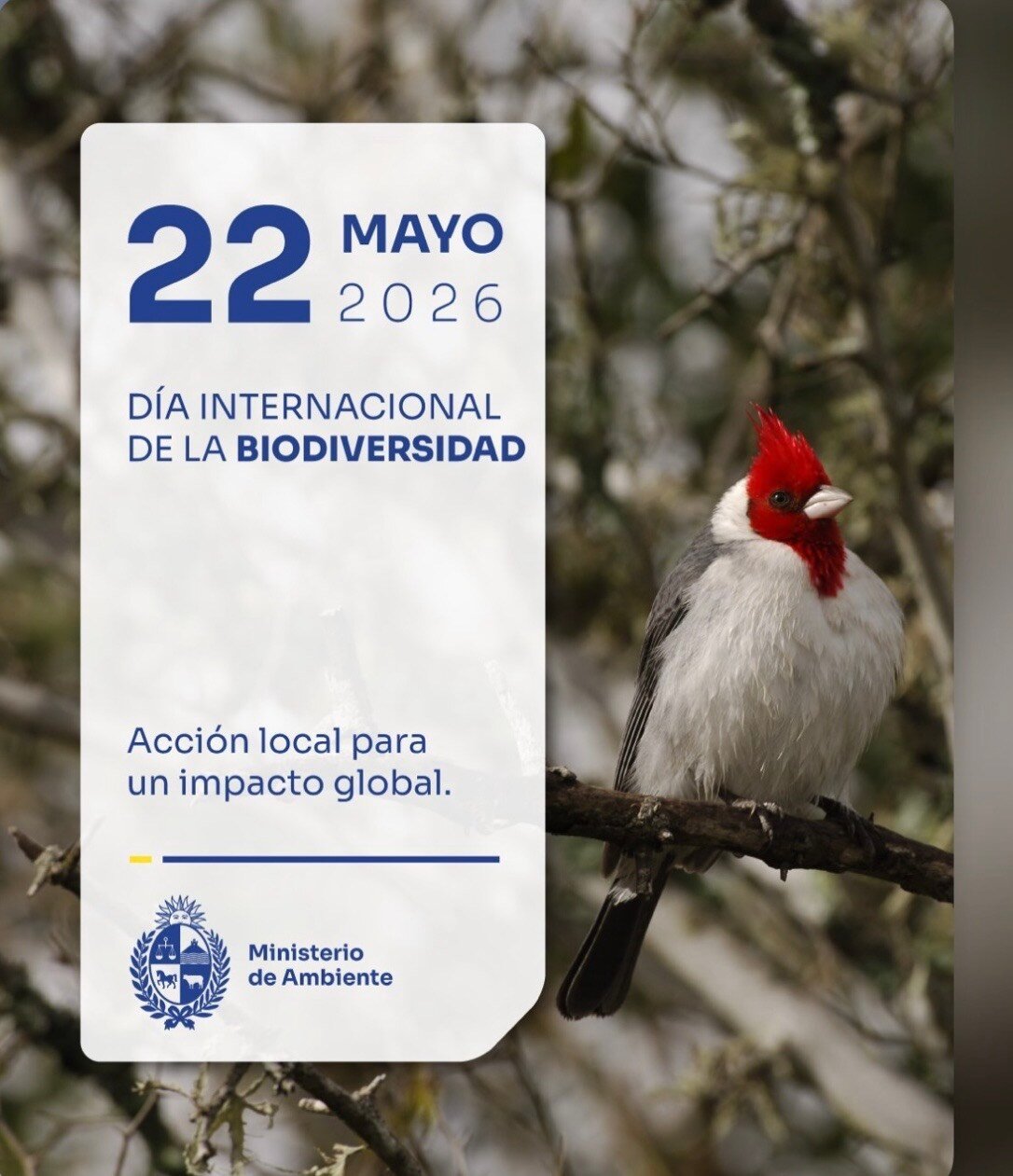 Día Internacional de la Diversidad Biológica