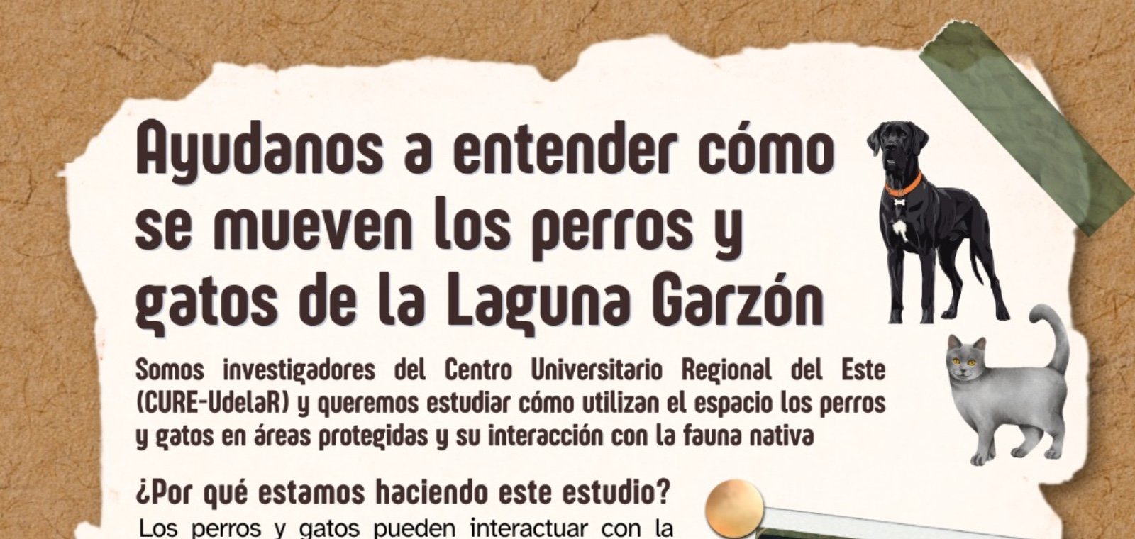 “Ayúdanos a entender cómo se mueven los perros y gatos de la Laguna Garzón”